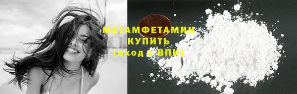 прущие грибы Осташков