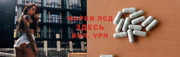 прущие грибы Осташков