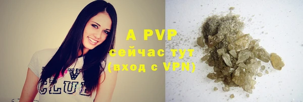 прущие грибы Осташков