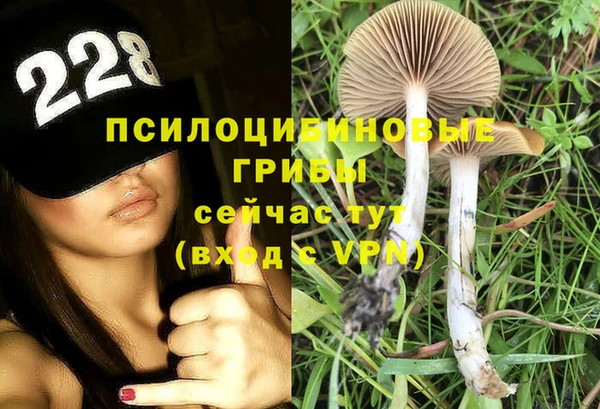 гидропоника Остров