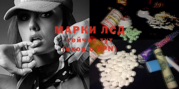 прущие грибы Осташков