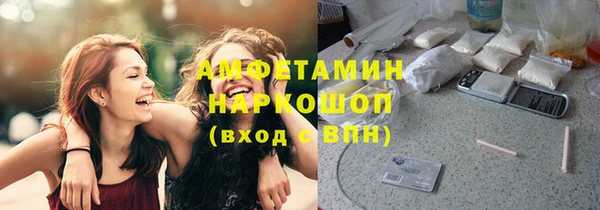 прущие грибы Осташков